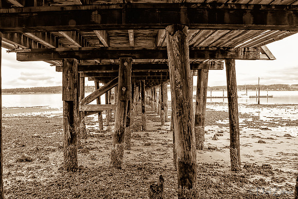 03-02 Coupeville-13
