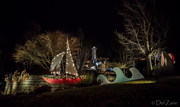 12-03 MH Nighttime Xmas Display--3