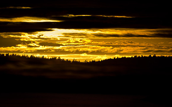 _DSC5130