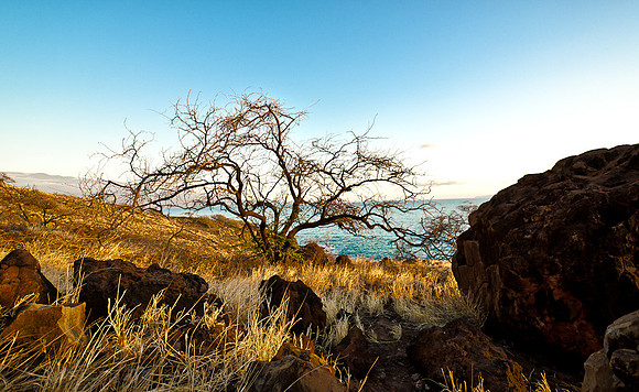 Ma'alea Lookout Point-2