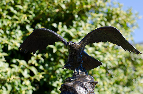 Bronze Eagle-7