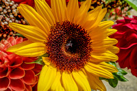 09-21 Bouquet Bokeh--7