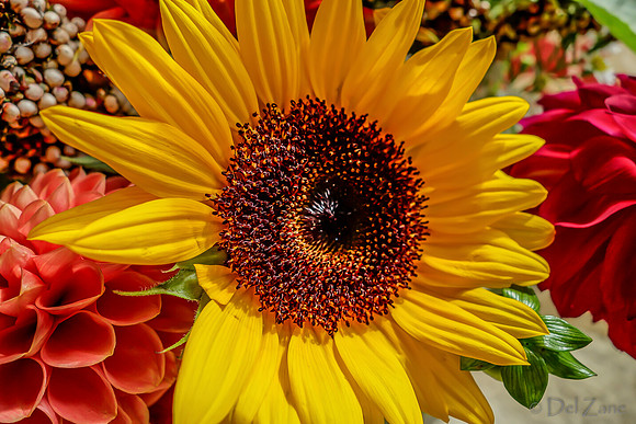 09-21 Bouquet Bokeh--7