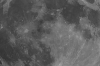 _DSC4465