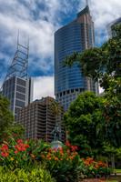 Sydney Walkabout--11