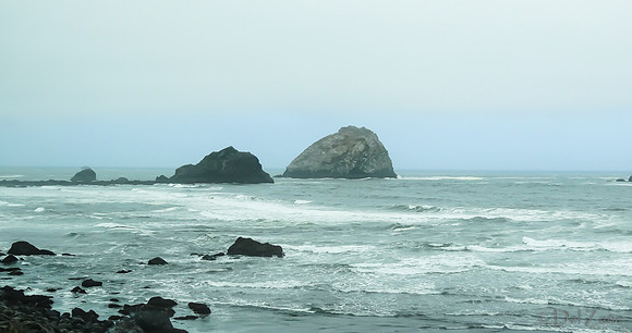 SDZ Trip Pix--33