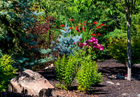 Late Morning Flora 07-10-2020