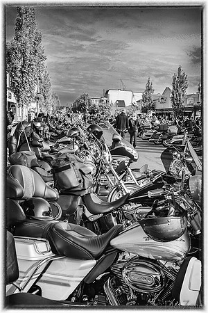 09-23 Oyster Run-15