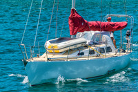 Bay of Islands NZ--18