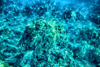 Snorkeling at Makena Landing Beach Park