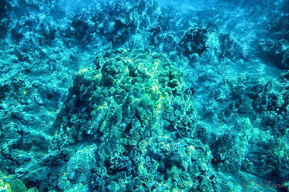 01-18 Makena Underwater TIFFs--22