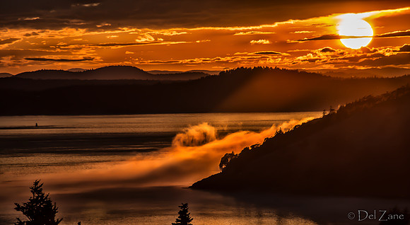 09-03 Fog Veil--13