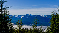 _DSC4942