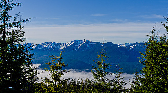 _DSC4942