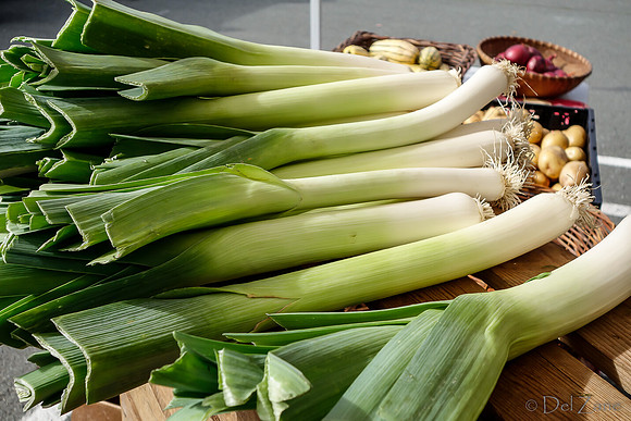 10-05 Farmers' Market Short-0517