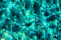 01-18 Makena Underwater TIFFs--19