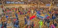 11-17 Indoor Farmers Market-1