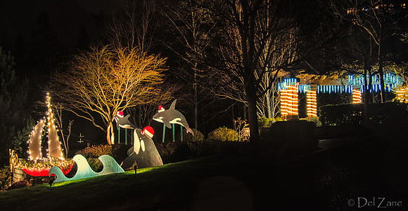 12-13 MH Night Xmas Display-6