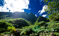 Iao Valley State Park-23