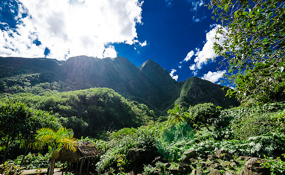 Iao Valley State Park-23
