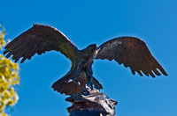 Bronze Eagle-8