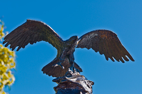 Bronze Eagle-8
