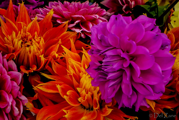 10-05 Farmers' Market--115