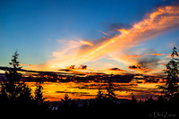 Everlasting Orange Sunset