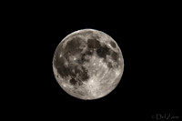07-11 Super Moon Tiffs--12