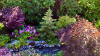 04-01 SDZ Garden Yard JPEGs-884
