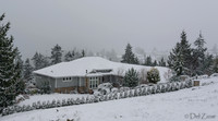 12-20 Snowy Day-0584-2