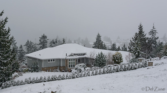 12-20 Snowy Day-0584-2