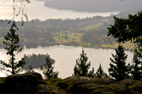 _DSC4289