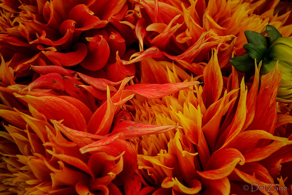 10-05 Farmers' Market--112