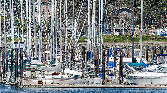 03-30 SeaFarers_CapSante Marina-6