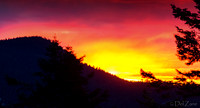02-27 Surprize Sunset Tiffs--7