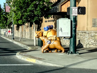 SDZ Trip Pix--16