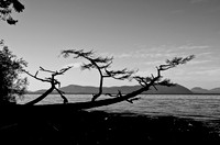 _DSC4152