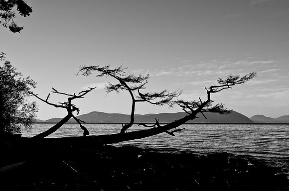 _DSC4152
