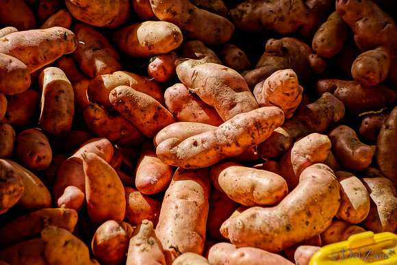 10-05 Farmers' Market--78