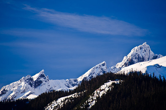 _DSC5115