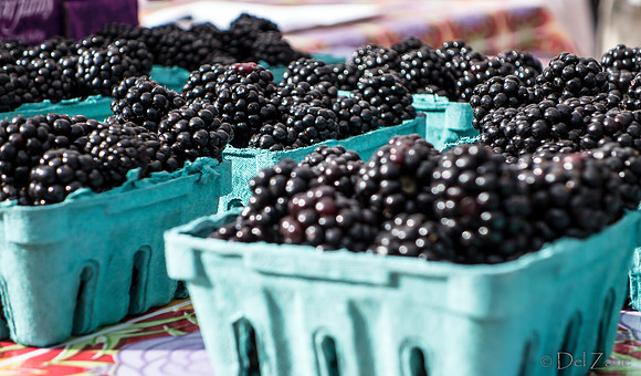 10-05 Farmers' Market--102
