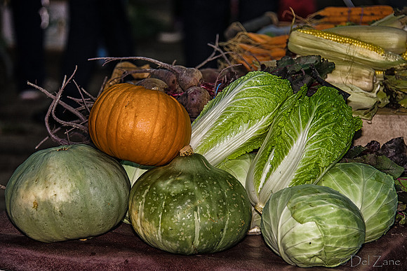 11-17 Indoor Farmers Market-41
