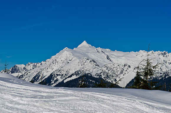 _DSC5008