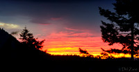 02-27 Surprize Sunset Tiffs--11