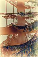 07-14 Tree Shadows-7