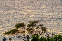 01-28 Aerial Sunset TIFFs--12