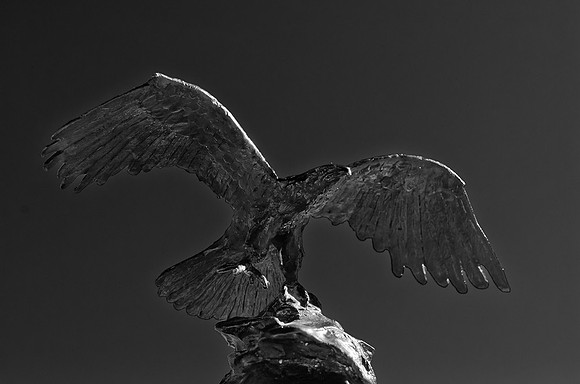 Bronze Eagle-9