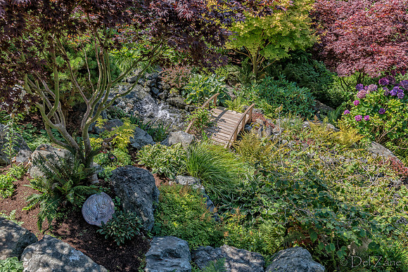 08-17 Shadra Garden 2015 TIFFs--49