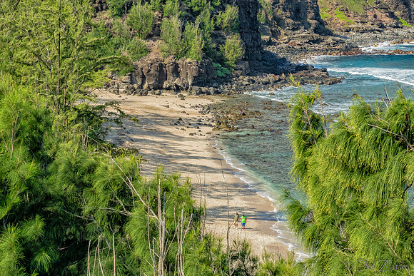 01-14 Northshore Coastline TIFFs--11
